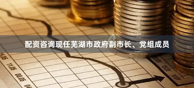 配资咨询现任芜湖市政府副市长、党组成员