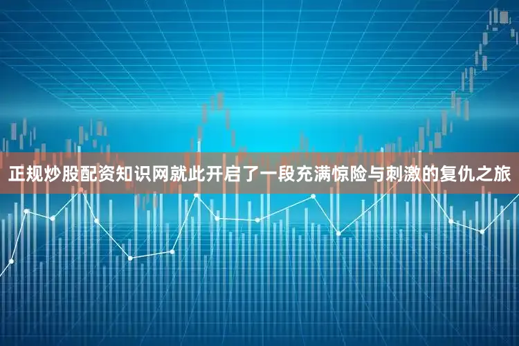 正规炒股配资知识网就此开启了一段充满惊险与刺激的复仇之旅